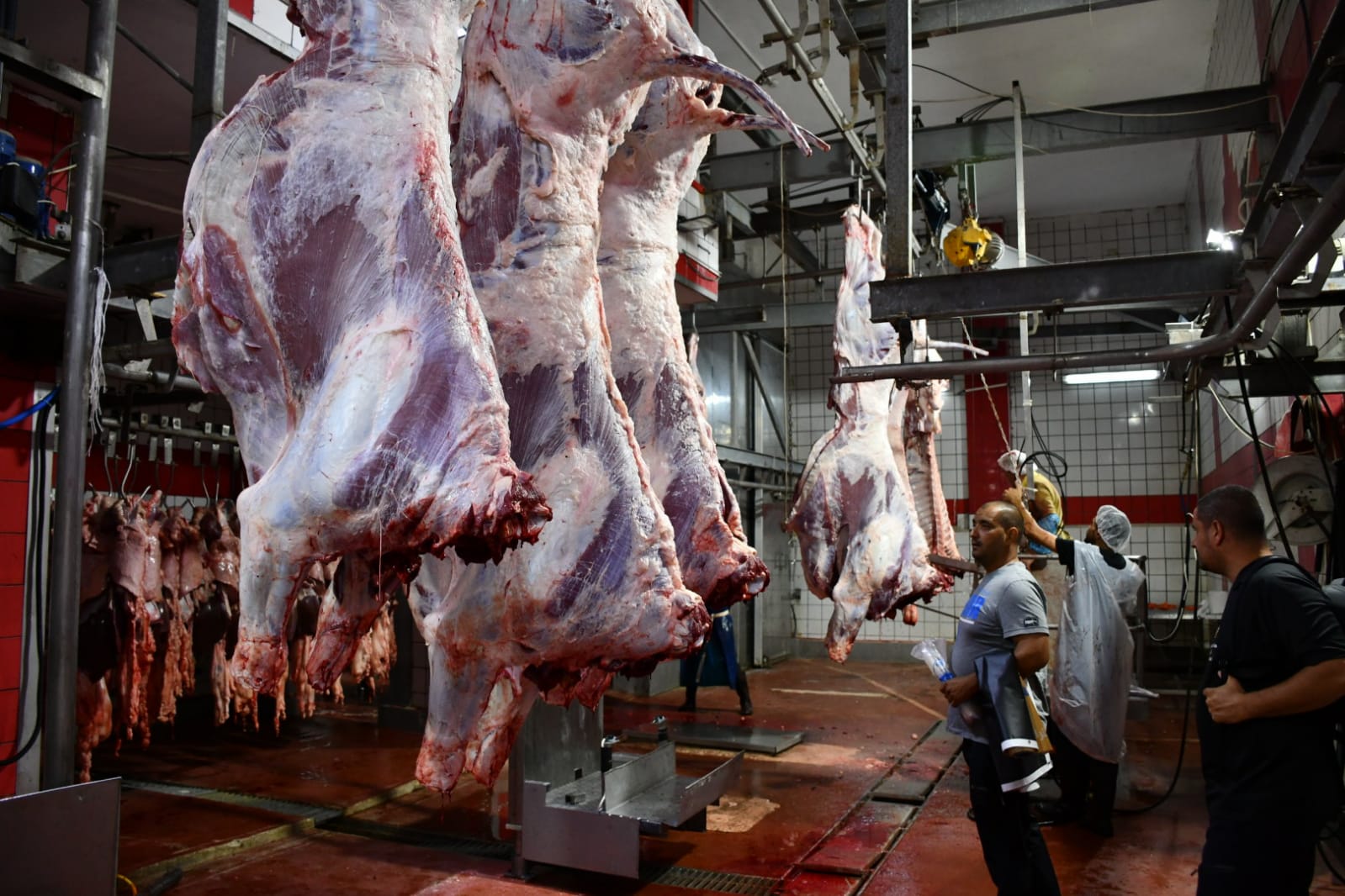 WhatsApp Image 2020-07-31 at 11.28.21 AM.jpeg.jpeg